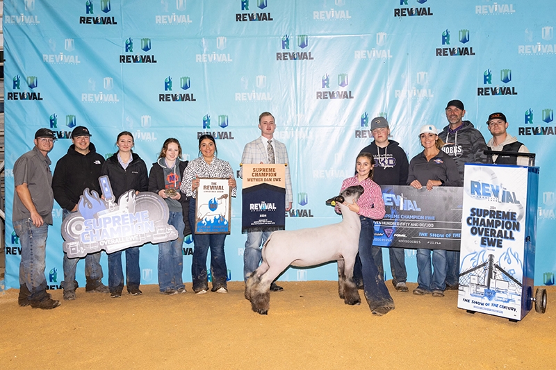 Cupcake Sis Cupcake Sis