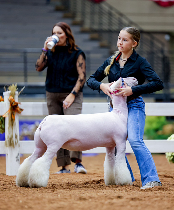 Strawberry Strawberry