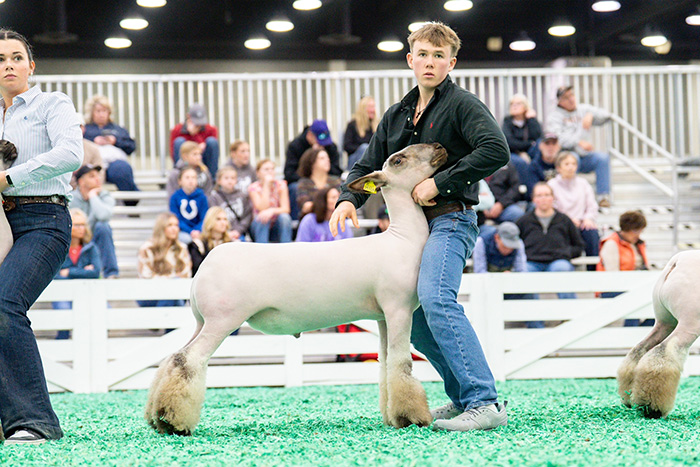 Second Place Crossbred N.A.I.L.E. Second Place Crossbred<br />
N.A.I.L.E.